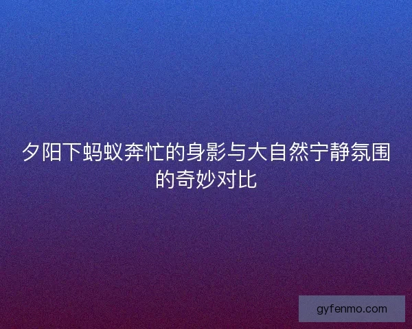 夕阳下蚂蚁奔忙的身影与大自然宁静氛围的奇妙对比 夕阳下蚂蚁奔忙的身影与大自然宁静氛围的奇妙对比