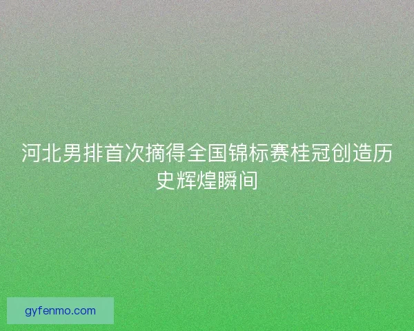河北男排首次摘得全国锦标赛桂冠创造历史辉煌瞬间