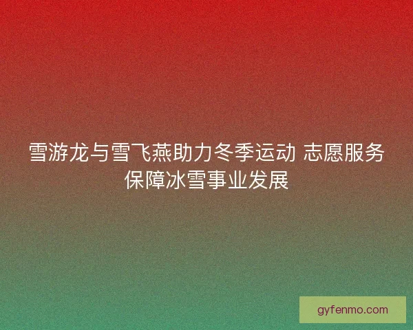 雪游龙与雪飞燕助力冬季运动 志愿服务保障冰雪事业发展