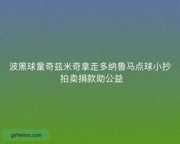 波黑球童奇兹米奇拿走多纳鲁马点球小抄 拍卖捐款助公益